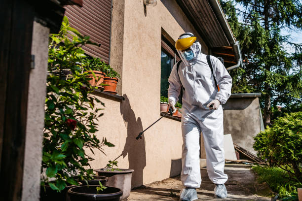 Best Mosquito Control Services  in Dolton, IL