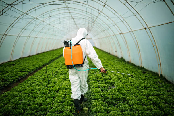 Best Wildlife Control Services  in Dolton, IL