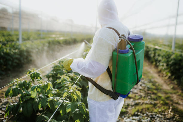  Dolton, IL Pest Control Pros